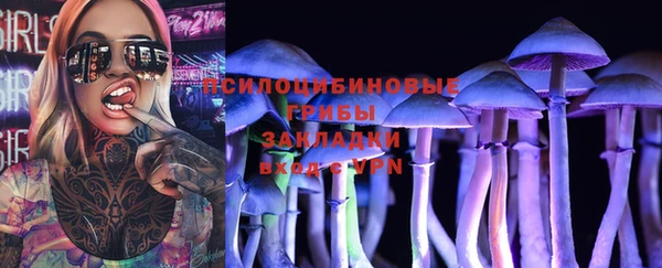 гашик Волосово