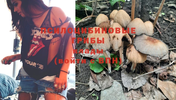 прущие крисы Володарск