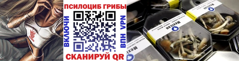 магазин продажи наркотиков  Ирбит  Галлюциногенные грибы Magic Shrooms 